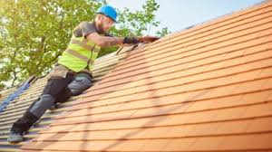 Professional Roofing services in Cambria, IL